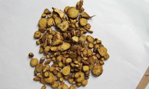蒲公英胶囊的功效与作用-公英胶囊网 :分享姜黄蒲公英胶囊-蒲公英胶囊的功效与作用知识