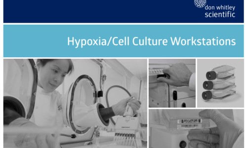 公英胶囊多少钱-公英胶囊网 :分享姜黄蒲公英胶囊-蒲公英胶囊的功效与作用知识